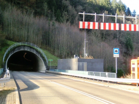 Hornbergtunnel southern portal