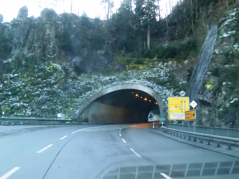 Steinbis Tunnel northern portal