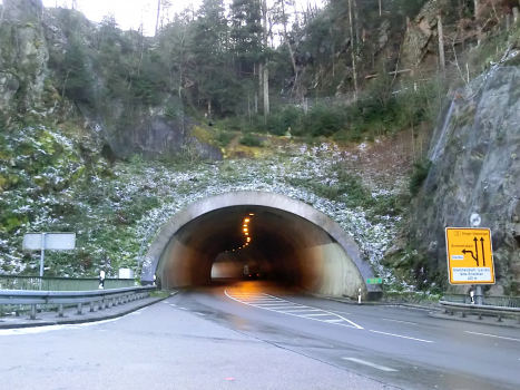 Steinbis-Tunnel