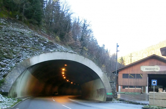Steinbis Tunnel southern portal
