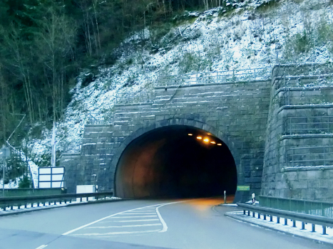 Zuckerhut Tunnel northern portal