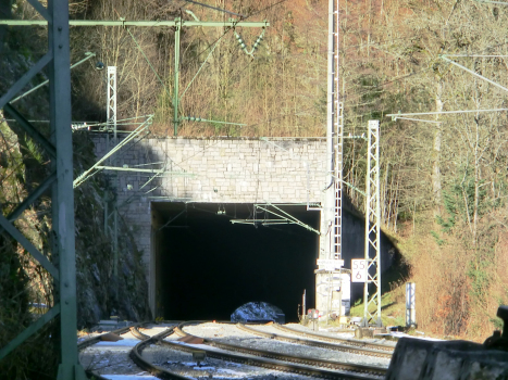 Tunnel de Grosshalde
