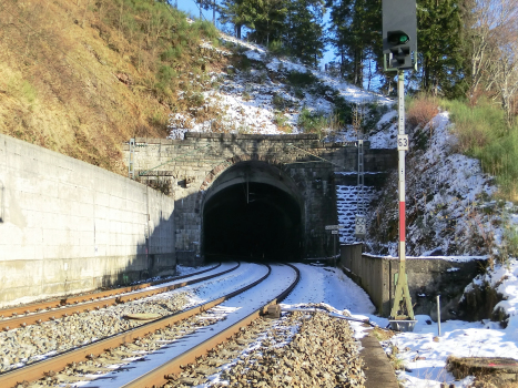Schieferhalde Tunnel western portal