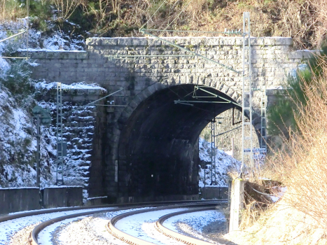 Tannenbühl Tunnel