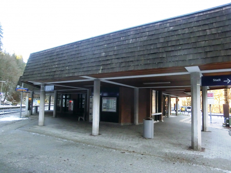 Gare de Triberg