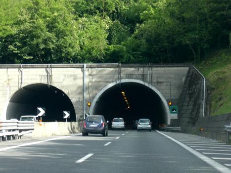 Monte Olimpino Tunnel southern portals