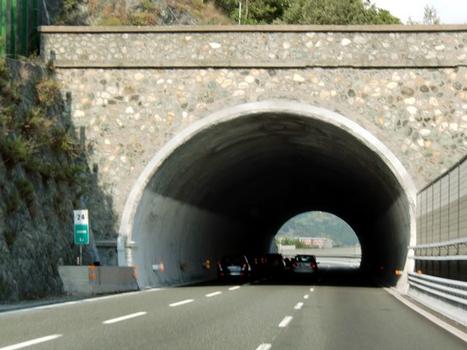 Arrestra Tunnel, western portal