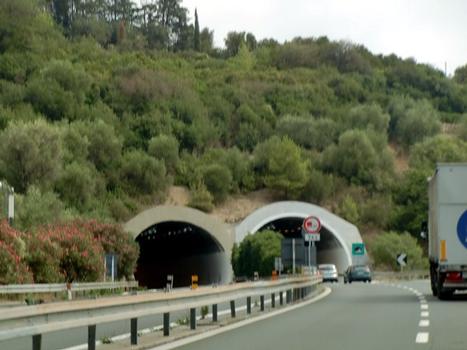 Bardellina Tunnel, western portals