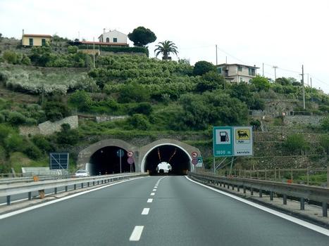 Bordighera Tunnel eastern portals