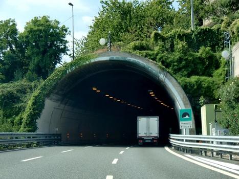 Borgonuovo Tunnel eastern portal