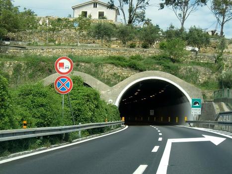 Coldirodi Tunnel eastern portals