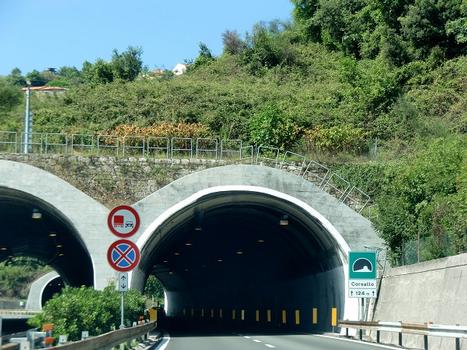 Coreallo Tunnel eastern portal