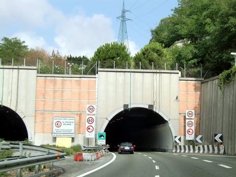 Coronata Tunnel, western portal