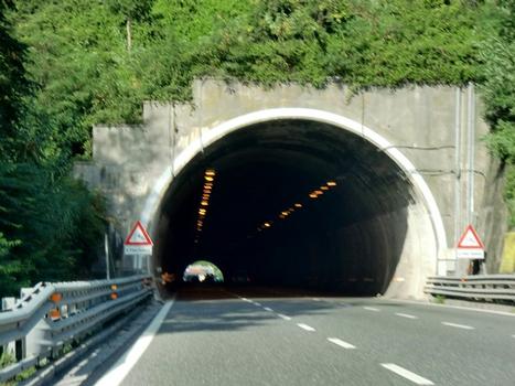 Tunnel de Lerone