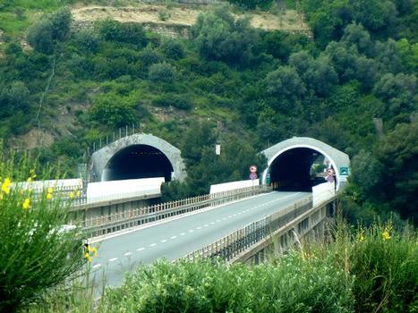 Montà di Lanza Tunnel eastern portals and Rio del Ponte Viaducts