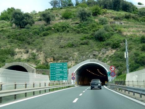 Monte Bauso Tunnel western portals