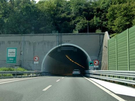 Monte Pasasco Tunnel eastern portal