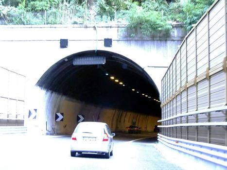 Tunnel Pallavicini
