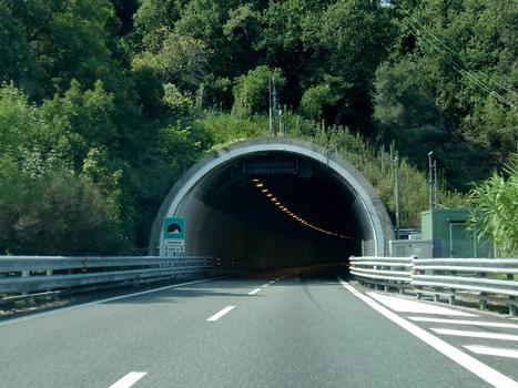 Tunnel de Pecorile