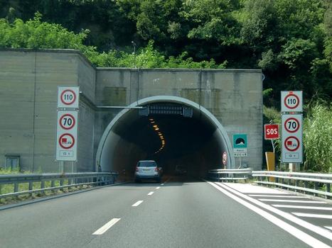 Ranco Tunnel eastern portal