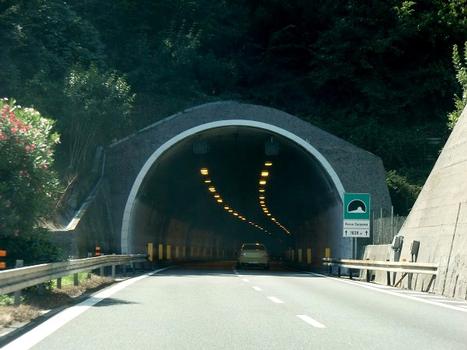 Rocca Carpanea-Tunnel
