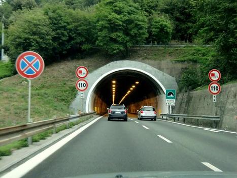 Santa Libera Tunnel western portal