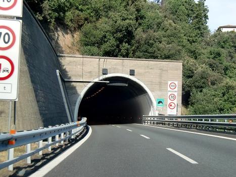 Termine Tunnel western portal