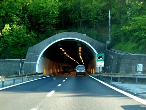 Tunnel de Vallon d'Armè