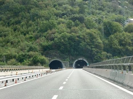 Apparizione Tunnel western portals from Stura viaduct