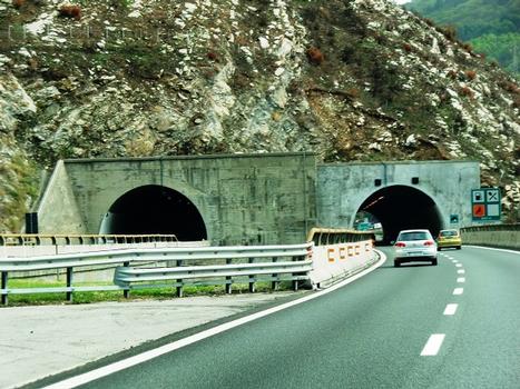 Costa di Monte Moro Tunnel western portals