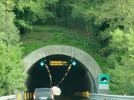 Malenchini Tunnel northern portal