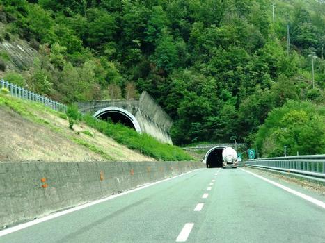 Nocentini Tunnel western portals