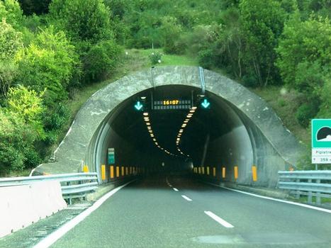 Pipistrello Tunnel northern portal