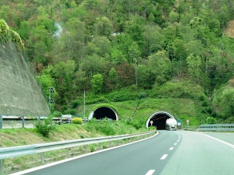Tunnel de Ramello
