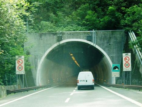 Rivarolo 3A Tunnel western portal