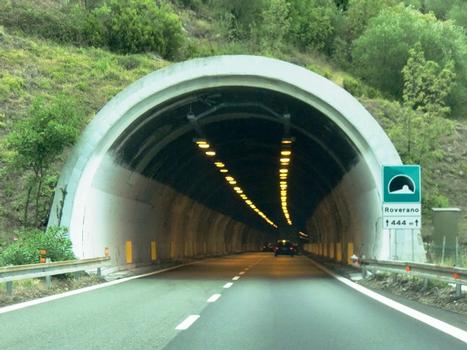 Roverano Tunnel western portal