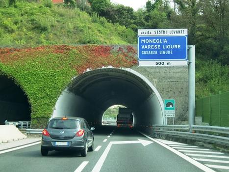 Tunnel de San Bernardo