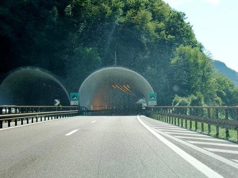 Tunnel de Rosa-Kofler
