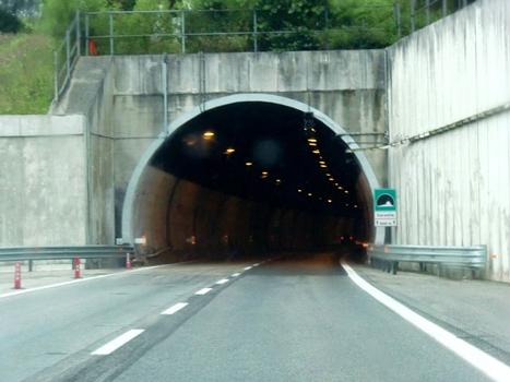 Carestia Tunnel northern portal
