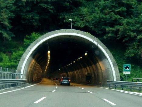 Anzema Tunnel, northern portal