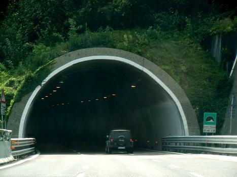 Tunnel Asino Morto