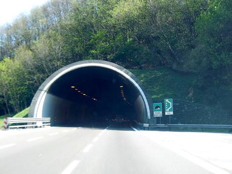 Tunnel de Broglio