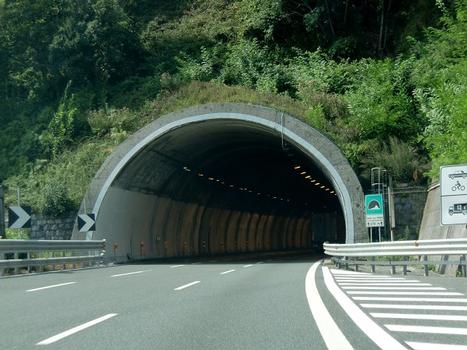 Casa della Volpe Tunnel northern portal