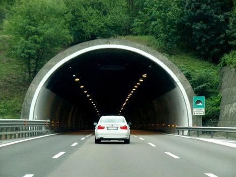 Ciutti Tunnel northern portal
