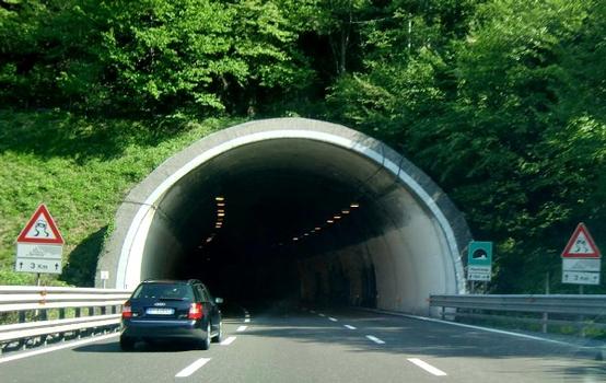Manfreida Tunnel northern portal