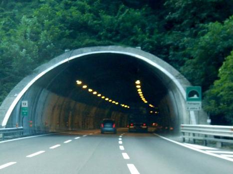 Pietraguzza Tunnel southern portal