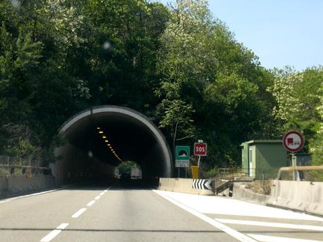 Selva Spessa Tunnel southern portal