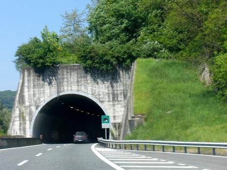 Vevera Tunnel southern portal