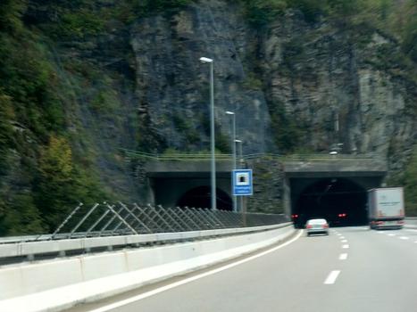 Piumogna Tunnel southern portals