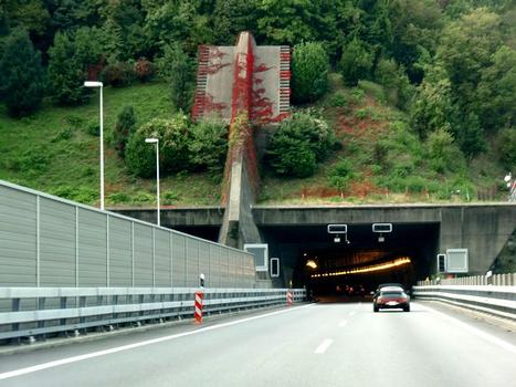 Tunnel Melide-Grancia